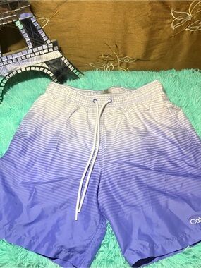 Calvin Klein Purple Ombre  Swim Trunks